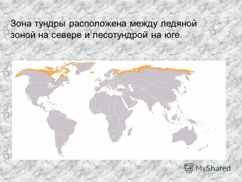 Географическое положение тундры. Природная зона тундра географическое положение. Расположение зоны тундры. Географическое положение зоны тундры в россии. Географическое положение тундры в россии.