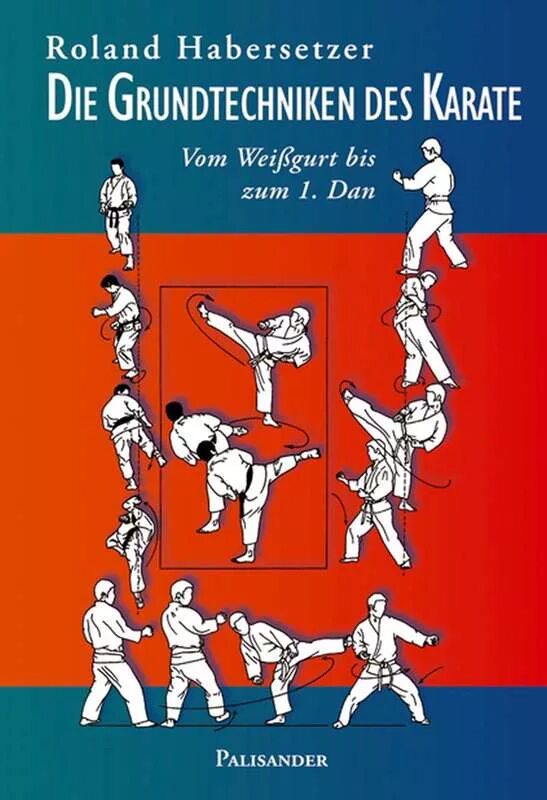 Роланд хаберзетцер. Хаберзетцер искусство каратэ. Roland habersetzer karate books. Книга каратэ. Р хаберзетцер каратэ техника вадо риу самиздат.