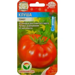 Томат клуша описание и фото характеристики