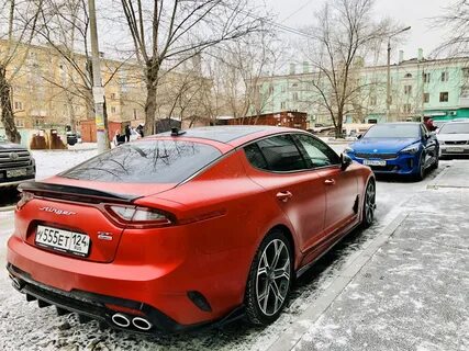 Стингер омск