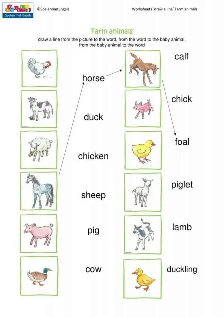 Animals Worksheets. Animals Worksheets for Kids. Farm Worksheet. Farm animals reading for Kids. Farm animals worksheet