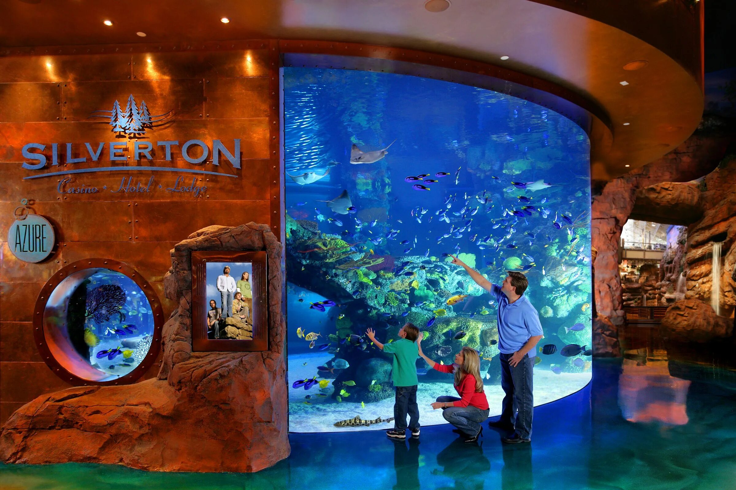 Аквариум в тропическом стиле. Фотозона аквариум. Океанариум США. Аквариумы Дискавери. Аквариум отель сайт