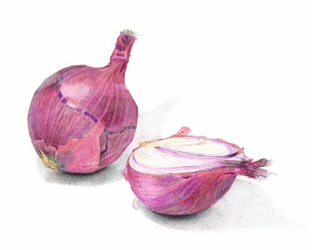 Red onion api download