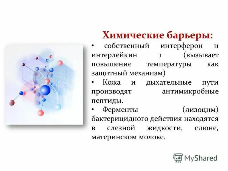 Ученые иммунологи список. Антимикробные пептиды (лизоцим, дефензины, кателициды.. Механизм действия лизоцима. Интерфероны и интерлейкины. Антимикробные пептиды эффекты.