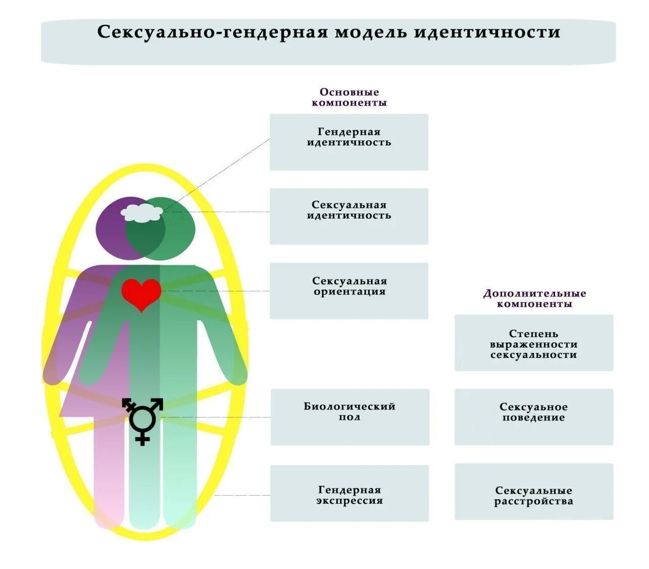 Схема ориентаций