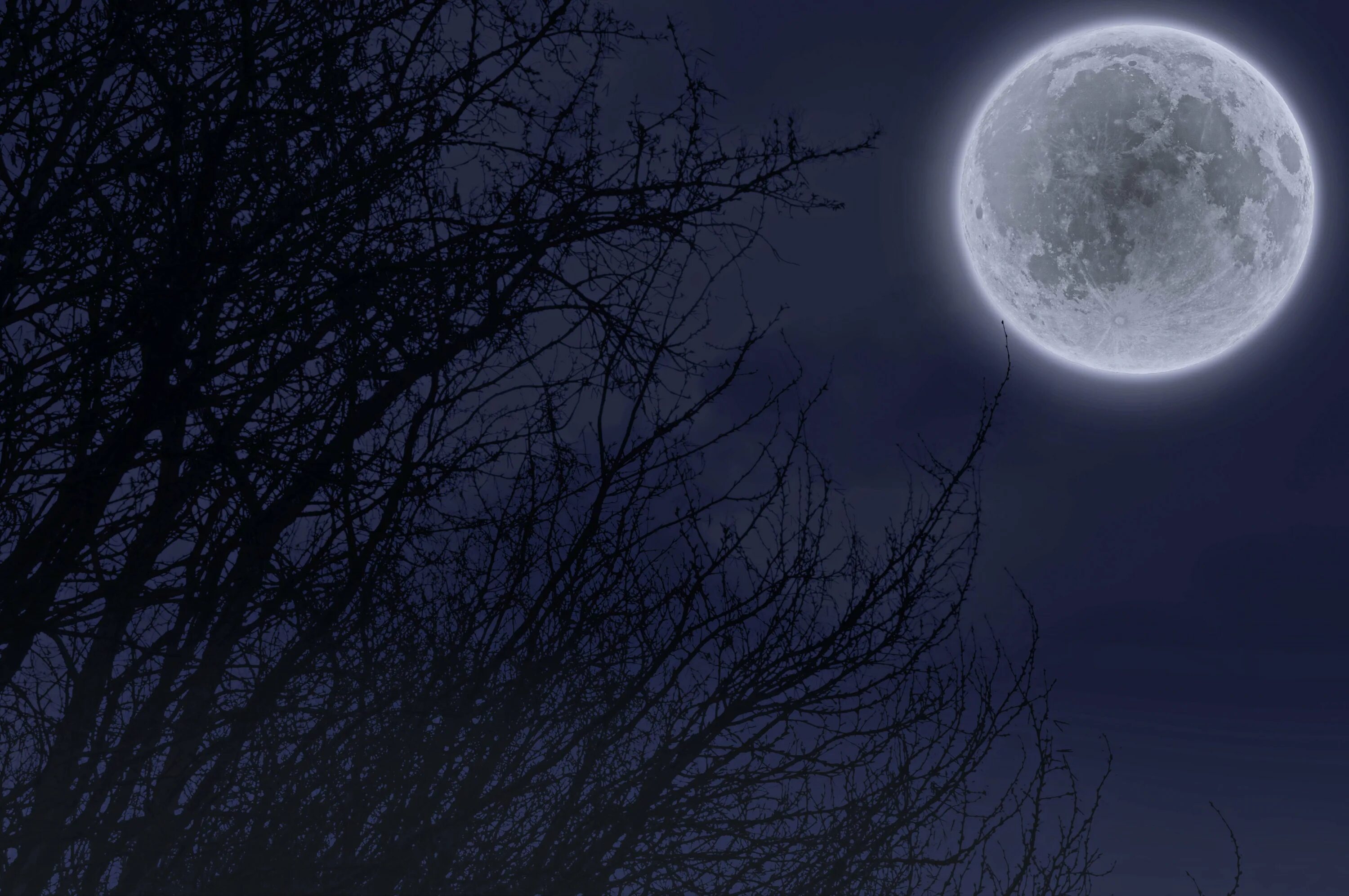 Луна светит сама. Луна. Фото Луны. Ночь Луна. Полнолуние.