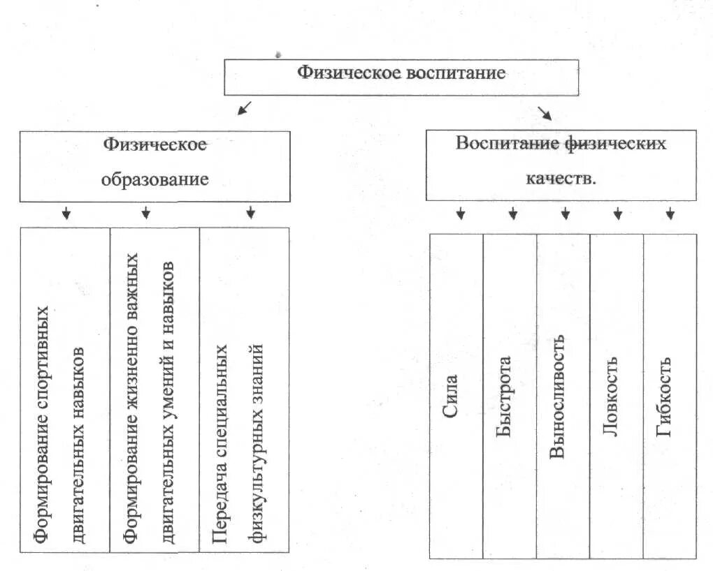 Методику воспитания физических качеств. Физическое воспитание схема. Процесс физического воспитания. Средства физического воспитания схема. Критерии качества процесса физического воспитания..