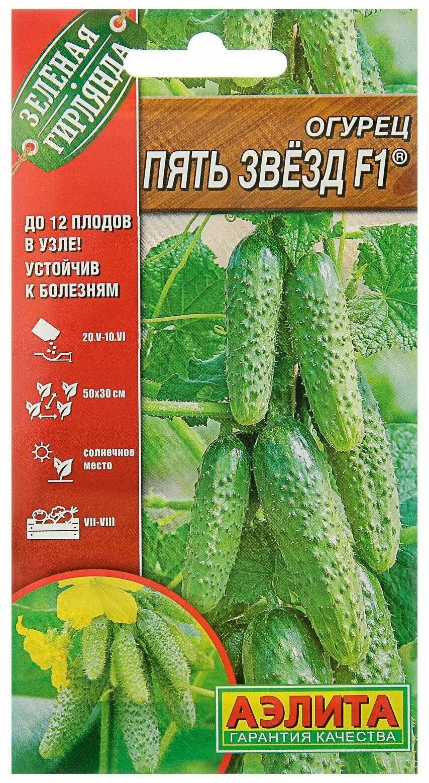 аэлита огурец пять звезд f1. огурец кузя f1 отзывы. огурец пять звезд описание отзывы. семена огурец зелёная гирлянда f1. огурец зена f1 7шт аэлита.