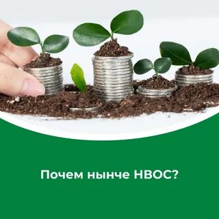 Плата за негативное воздействие за 2023 год