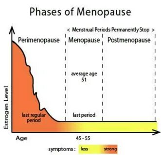 Age periods