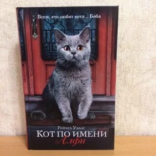 Включи кот по имени