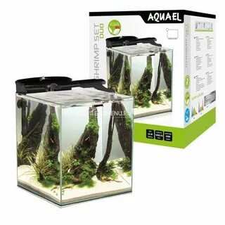 Aquael plant