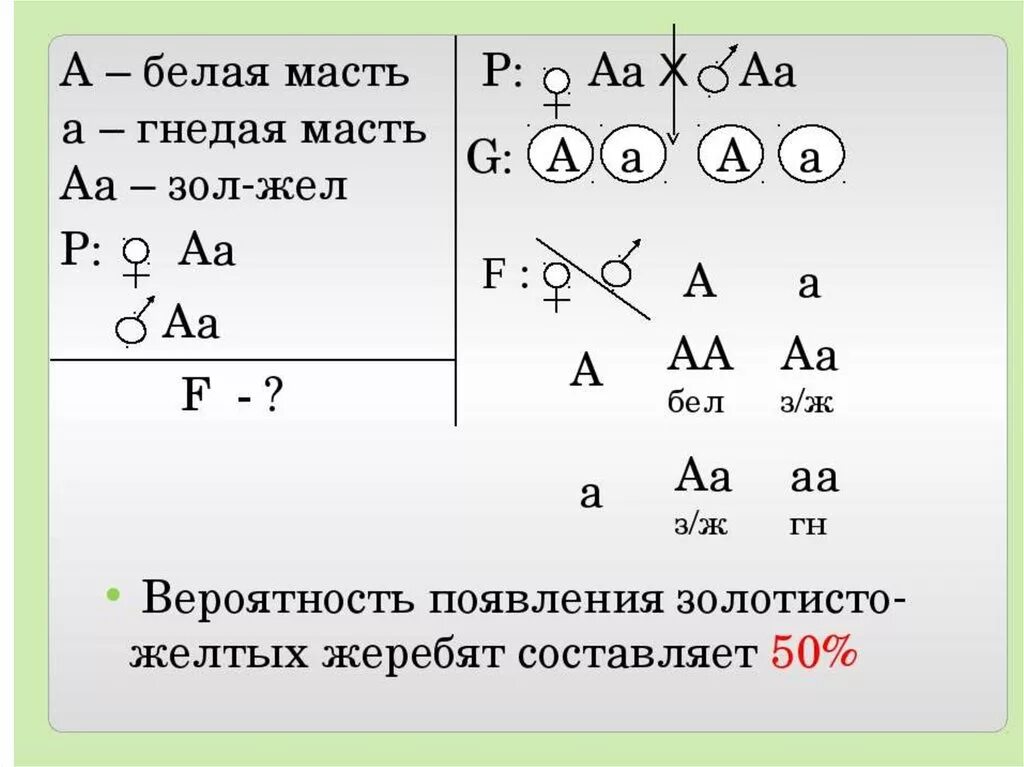 Определите вероятность в процентах появления рецессивной. Задачи по генетике на полное и неполное доминирование. Неполное доминирование это в генетике задачи. Задачи на неполное доминирование биология. Неполное доминирование примеры задач.