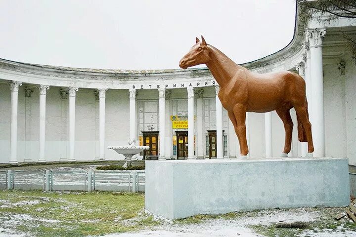 Аптека на вднх. Ввц ветеринарная. Ввц ветеринарная. Всхв 1939. Ветклиника созвездие москва.