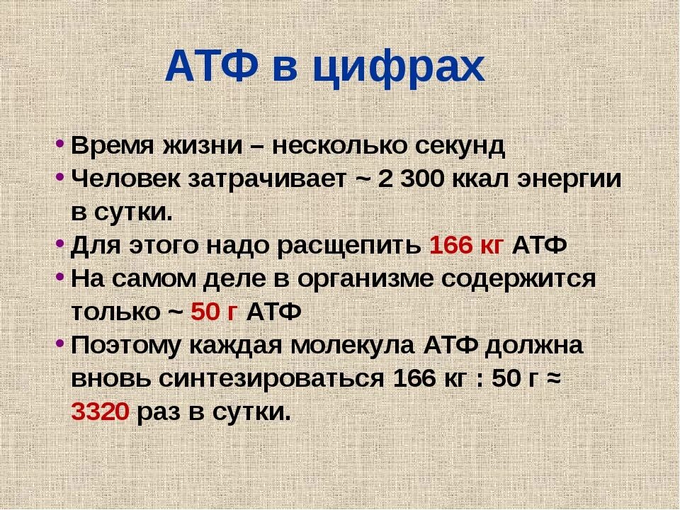 Атф задания. АТФ биология 10 класс. АТФ это в биологии. Строение АТФ биология 10 класс. Функции АТФ В организме.