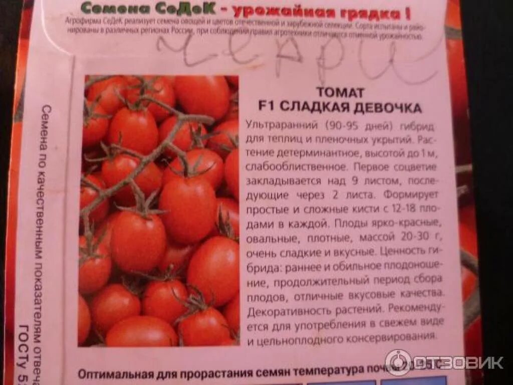 Томат кукла характеристика и описание сорта. Томат сахарные мизинчики f1. томат софья f1. сладкая девочка томаты сорт. семена помидор девочка.
