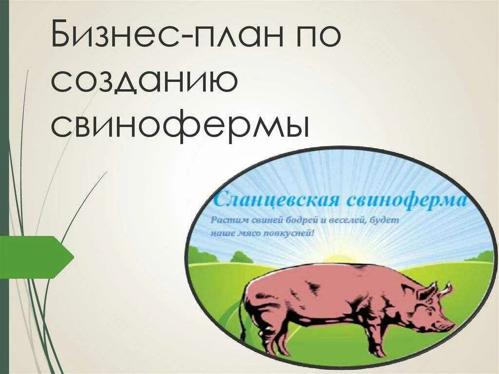 Бизнес план на разведение поросят. Свинарник бизнес план. Бизнес план свиней. План свинофермы. Бизнес план свиней.