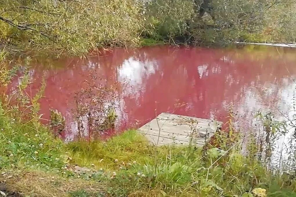 Тула водоемы. Тульский пруд. Михалково Тула. Интересные водоемы в Туле.