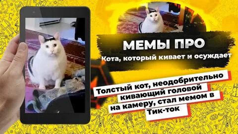 Тик ток звук кота