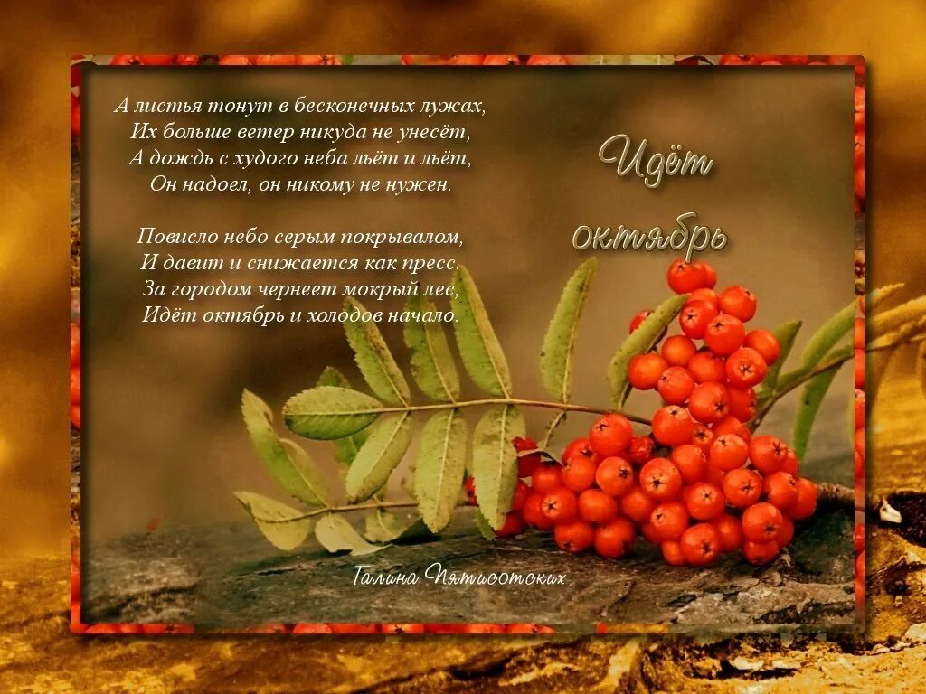 Стих про ноябрь короткий. Стих про ноябрь короткий. Стихи про ноябрь. Стихи про ноябрь. Стихи про ноябрь.