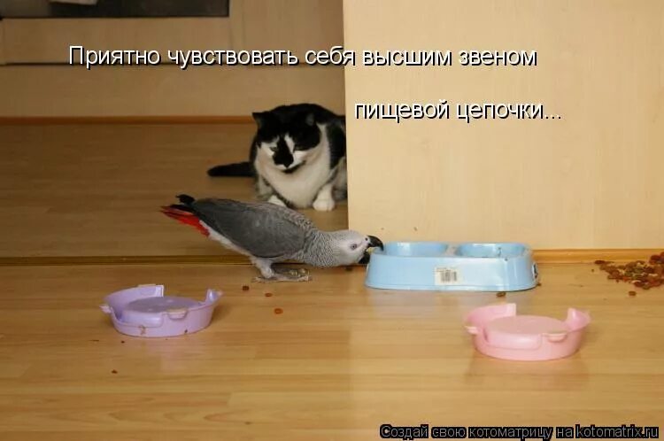 Дай какой нибудь пример