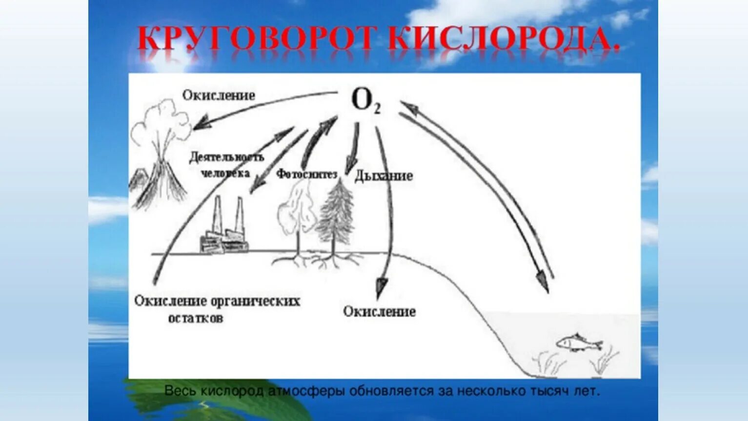 Круговорот кислорода (по е. а. Криксунову и др., 1995). Круговорот кислорода в природе биология 9 класс. Круговорот кислорода в природе схема. Круговорот кислорода биология 9 класс. 4 круговорот веществ в природе