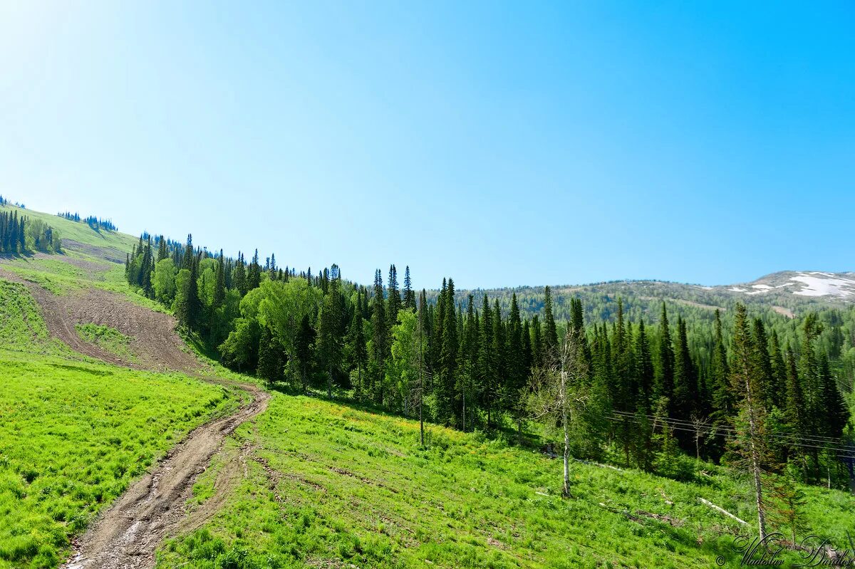 гора зеленая шерегеш летом. швейцария альпы лес. дорога у подножия горы. гора зеленая летом. гора зеленая летом.
