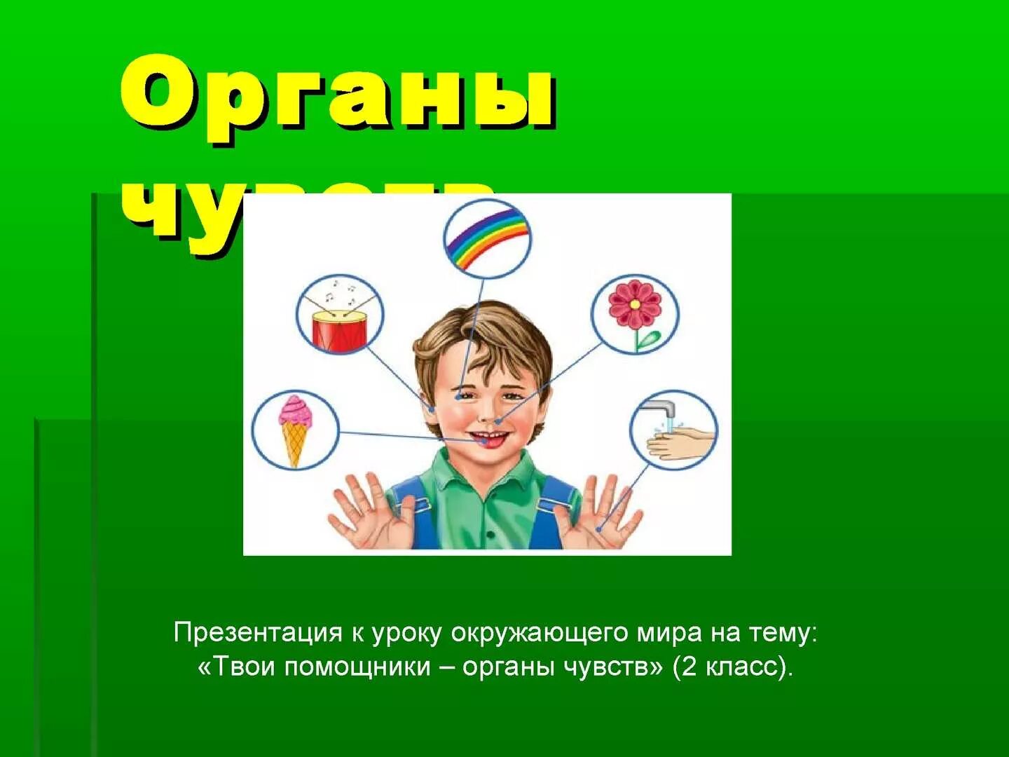 Органы чувств текст. Органы чувств. Окружающий мир органы чувств. Органы чувств презентация.