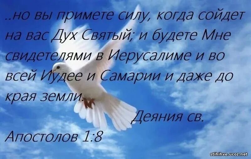 Дух божий в библии. Святой дух. дух святой стихи. христианские стихи о духе святом. христианские открытки с сошествием духа святого.