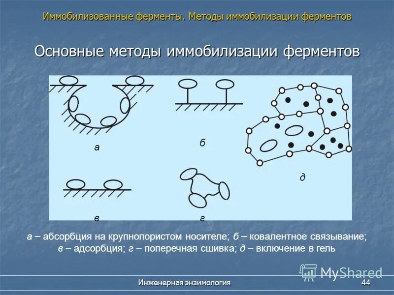 Носитель фермента. Способы иммобилизации ферментов. Химические способы иммобилизации ферментов. Схема получения иммобилизованных ферментов. Химические методы иммобилизации.