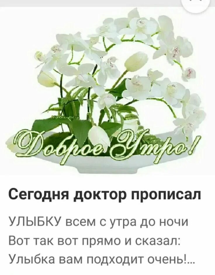 Сегодня доктор прописал улыбку всем стихи. Сегодня доктор прописал улыбку всем с утра до ночи стихи. Сегодня доктор прописал. Сегодня доктор прописал улыбку. Стих про весну.