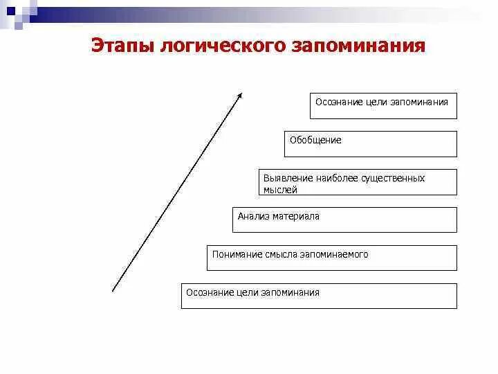 Стадии запоминания информации. Этапы памяти. Логический способ запоминания. Схема запоминания.