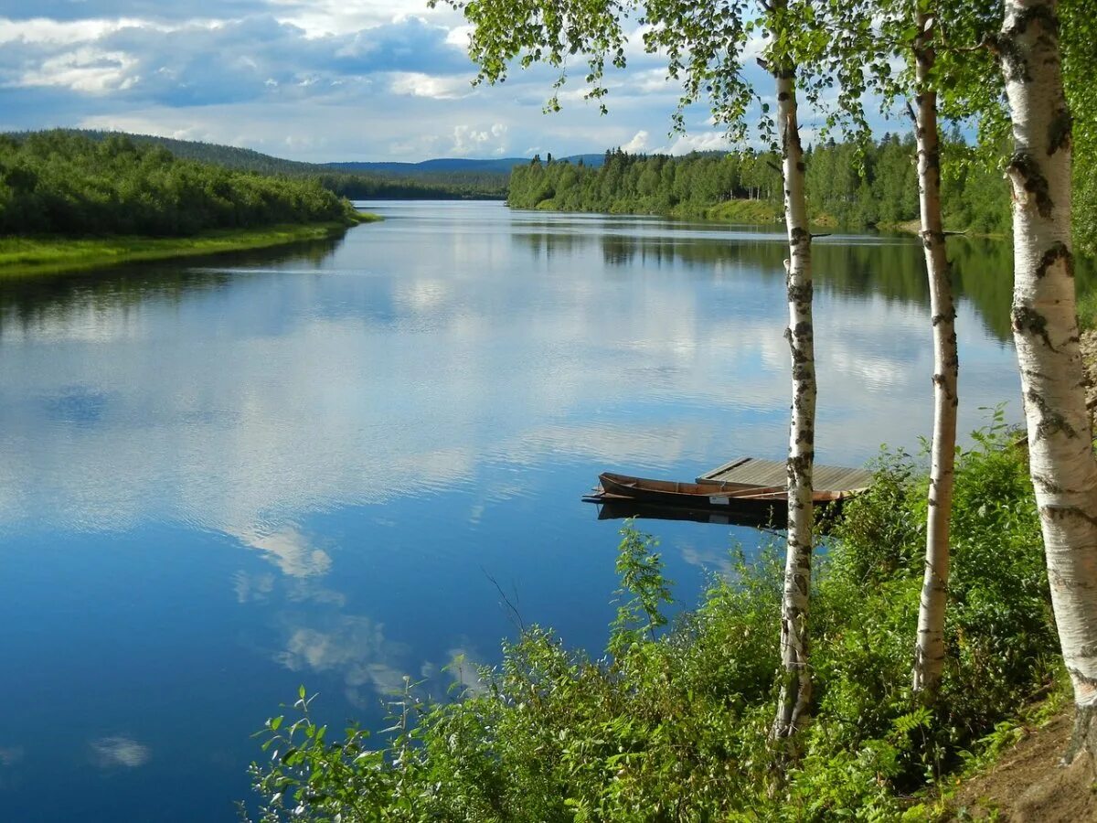 Вода родной край. Березы у реки. Береза на берегу реки. Природа береза озеро. Природа березы.