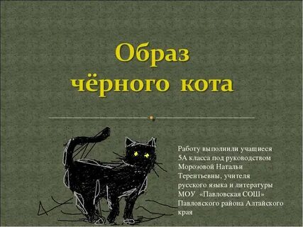 Стих черный кот