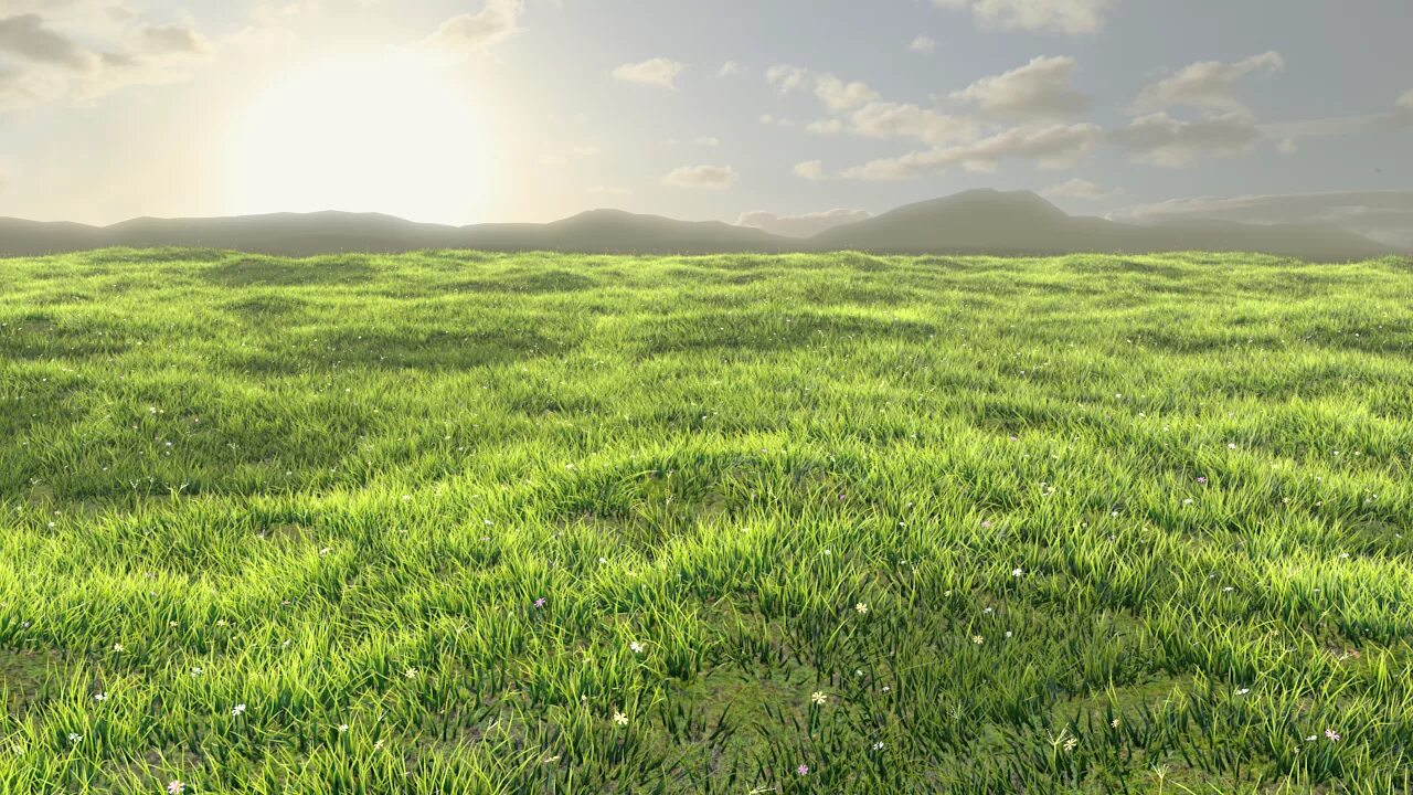 D field