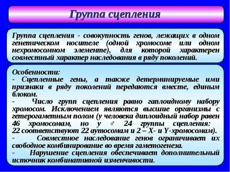 Группы сцепления генов. Группа сцепления это. Примеры групп сцепления. Хромосомы как группы сцепления генов.