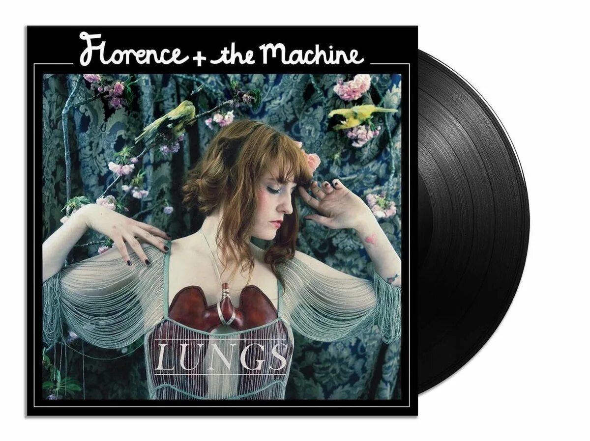 Florence the machine dog days are. Florence + the Machine - 2009 - lungs. Альбом lungs Florence. Florence the Machine between two lungs. Dog Days are over Florence the Machine.