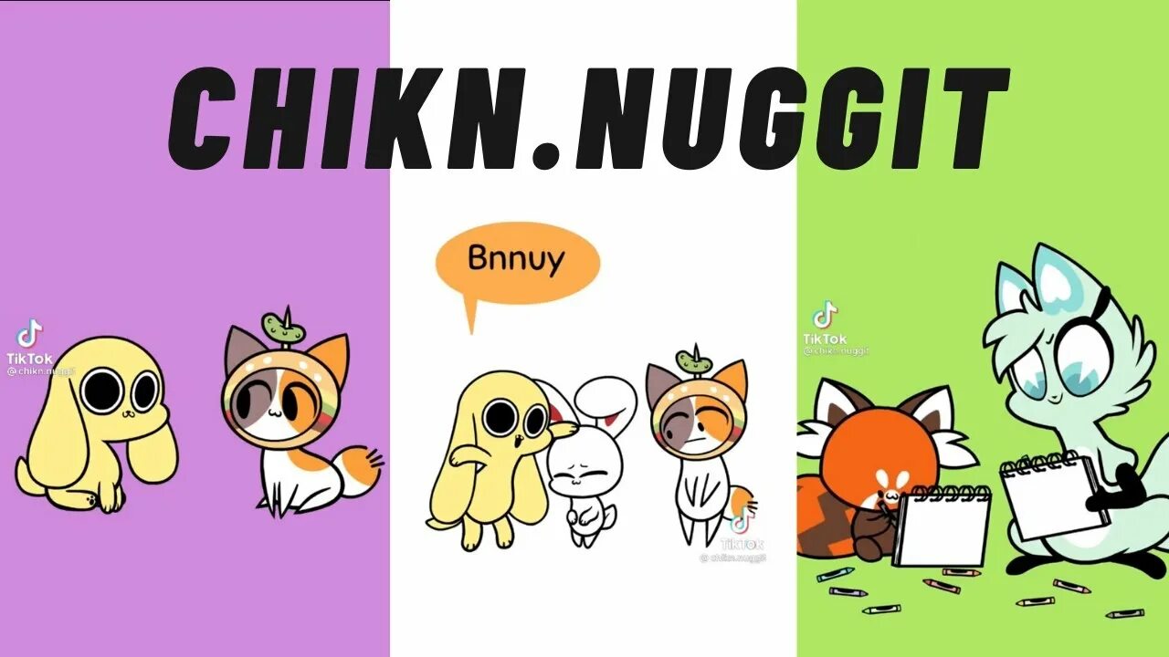 Chikn nuggit tik Tok. @Chikn.nuggit персонажи. Funny chikn nuggit TIKTOK. Chikn nuggit Айскрим.