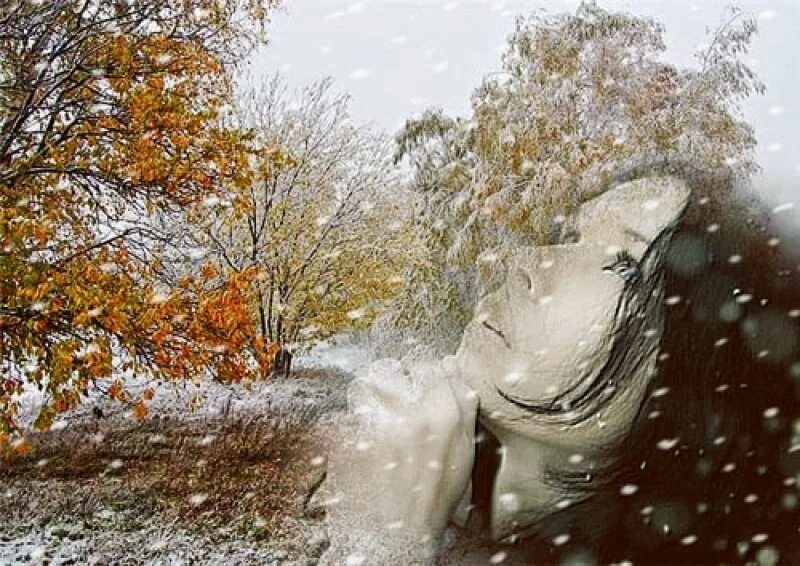 Осень снег. Осень первый снег. С наступлением зимы. Падает снег осенью. Падает снег и кружатся листья