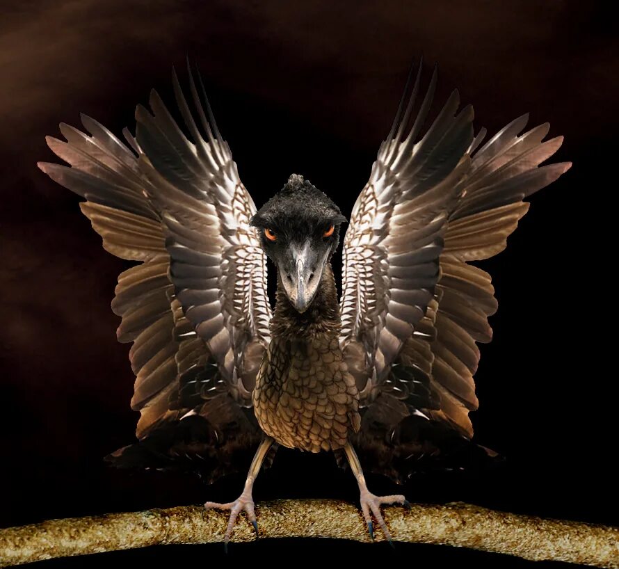 птица кормит птенцов. кестрел. авиан из starbound. птицы дона. ушастый козодой.