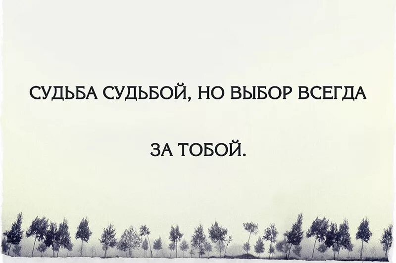 Есть всегда но в основном. Правильный выбор цитаты. У человека всегда есть выбор цитаты. Выбор сделан цитаты. Цитаты про выбор.