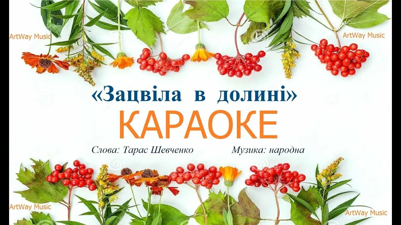Калина караоке. Растет калина караоке. Растет калина караоке. Растет калина караоке. Кущ калины.