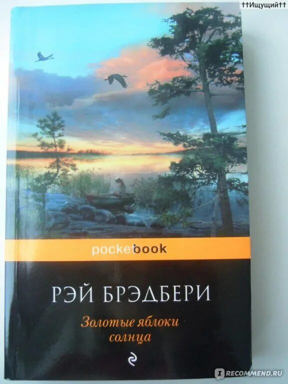 Брэдбери золотые яблоки солнца. Рэй Брэдбери золотые яблоки солнца. Р. Брэдбери «золотые яблоки солнца». Золотые яблоки солнца. Сборник Рэй Брэдбери. Золотые яблоки солнца книга.