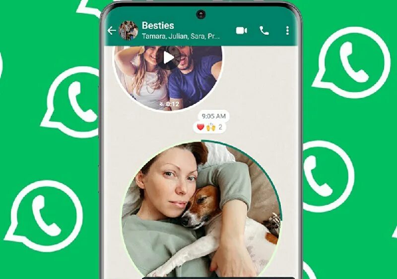 Номера людей в ватсапе. Кружочки в телеграмме. Как поменять фото на ватсап. Запись видео в кружочке ватсап. Запись видео в кружочке ватсап.