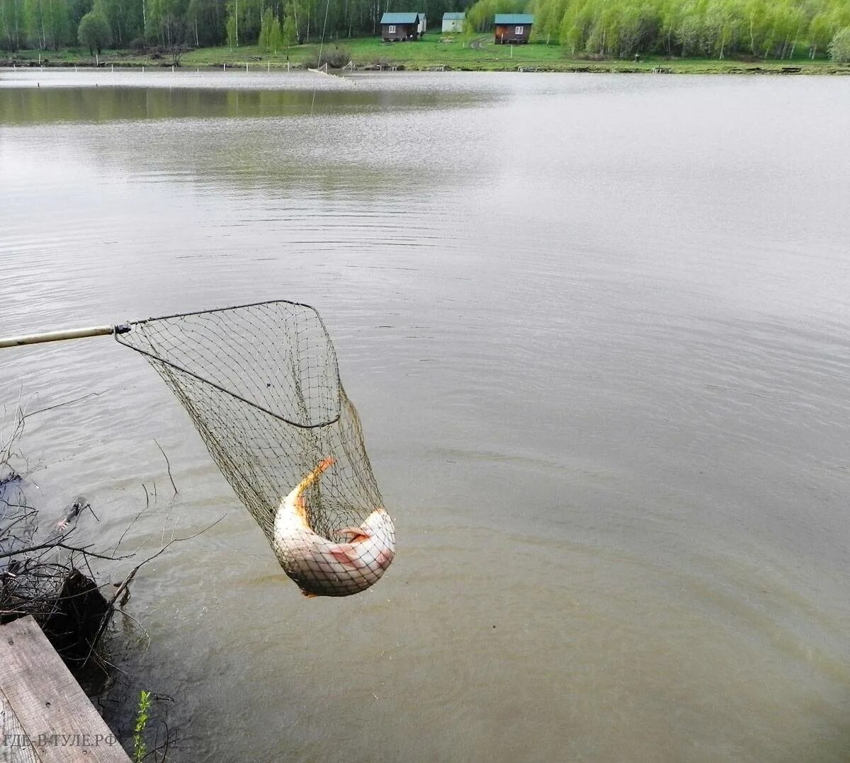 Пруд можно ловить рыбу. Платная рыбалка. Рыбалка на пруду. Рыболецеий пруд. Рыбалка на озере.