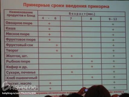 Трекер ввода прикорма
