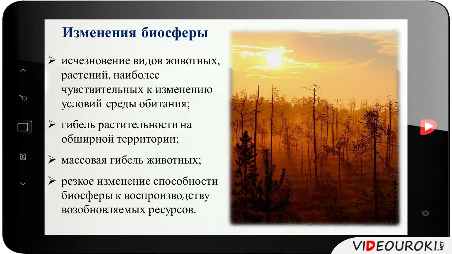 Резкие изменения условий среды. Гибель растительности на обширной территории. Изменение биосферы. Резкие изменения способности биосферы. Резкое изменение условий среды