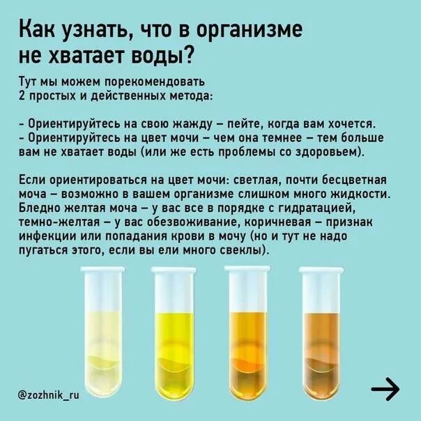 Сколько мочи в организме. Нормальный цвет утренней мочи. Нормальный цвет мочи в баночке. Утренняя моча. Анализ мочи по цвету.