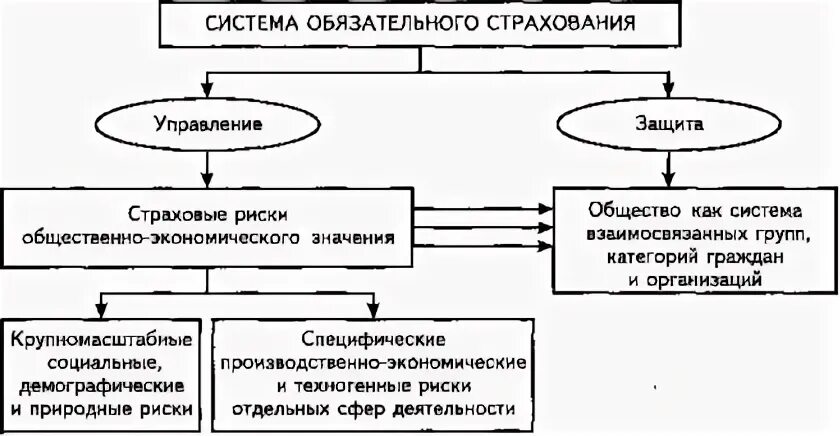 Формы страховых обществ