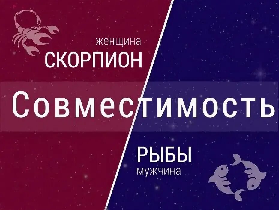 Мужчина Скорпион и женщина рыбы совместимость. Мужчина Скорпион и женщина рыбы.